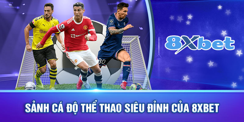 Sảnh cá độ thể thao siêu đỉnh của 8xbet