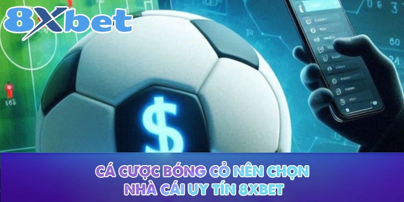 Cá cược bóng cỏ nên chọn nhà cái uy tín 8XBET